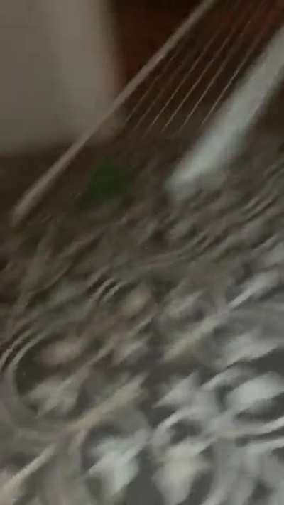 Chaotic catch