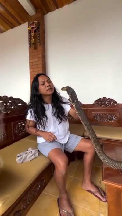 Talking to a big snake ?