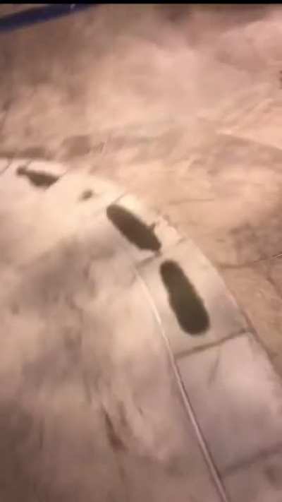 When rats fight back