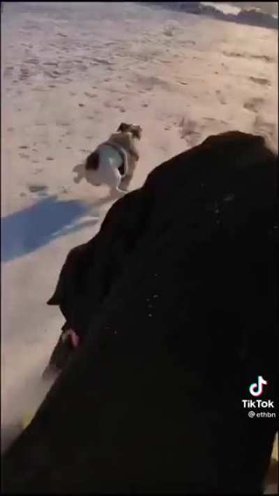 Let’s have a race!