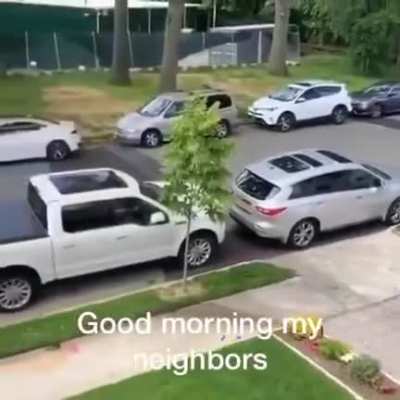 Good morning my neighbours! ?