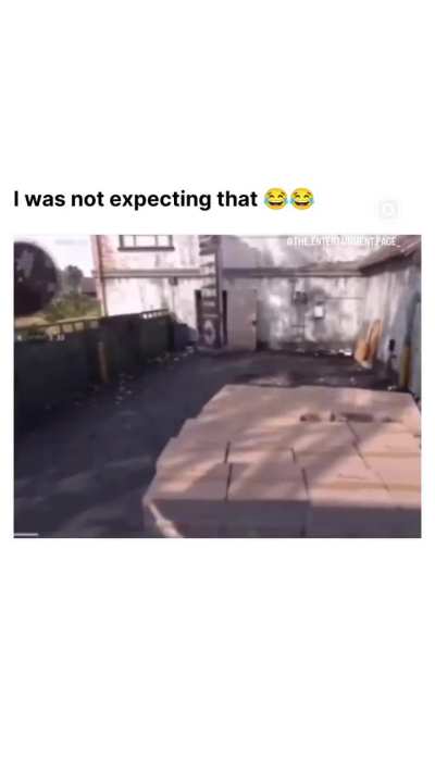 I have no interest in video games but nearly wet myself when “he” appeared