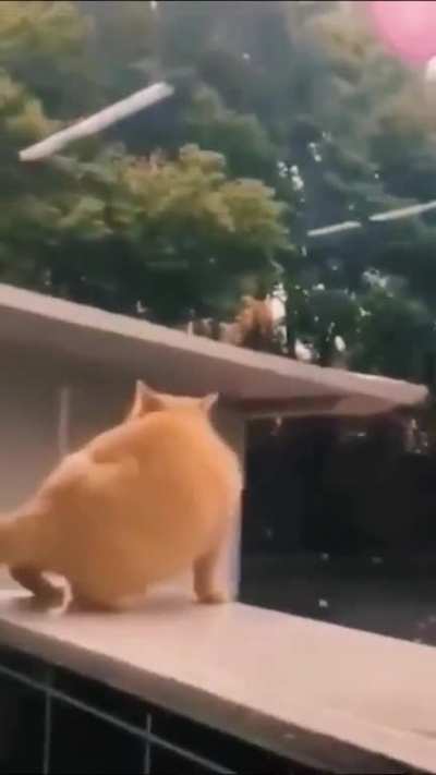 Failed jump!???