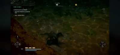 A graceful leap