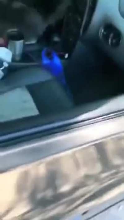 Leaving your car window open on a Sunny Day