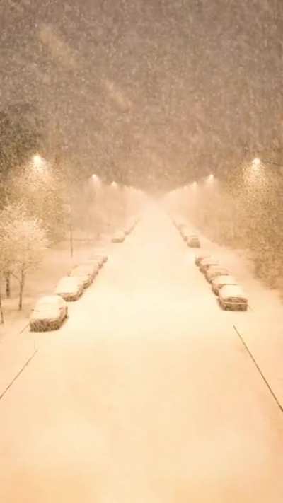 How the snow falls