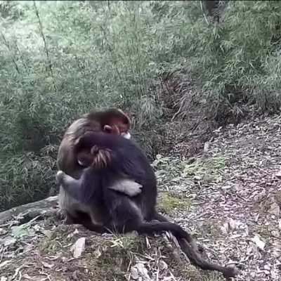 A hug was invented to show love without saying anything ?