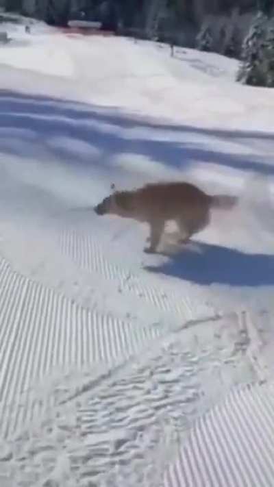Unique skiing posture. so fun??