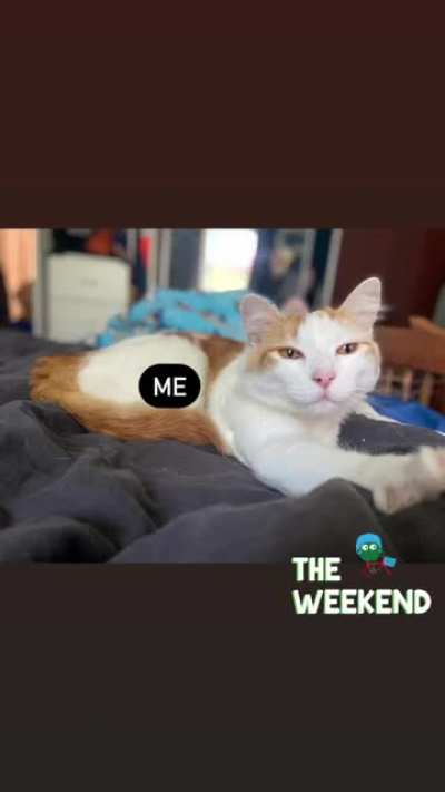 1st ever attempt at a meme, can’t wait for this week to be over & my cat is cute so...