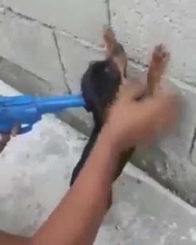Stop right there criminal!