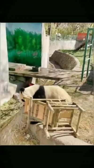 to use the chair without falling