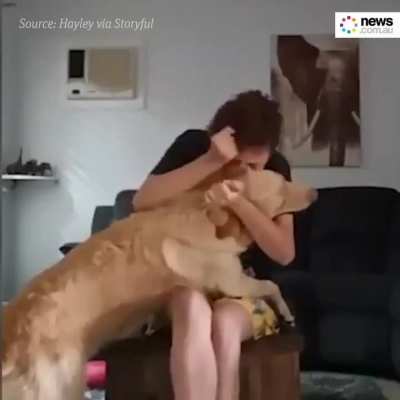 Awesome dog!