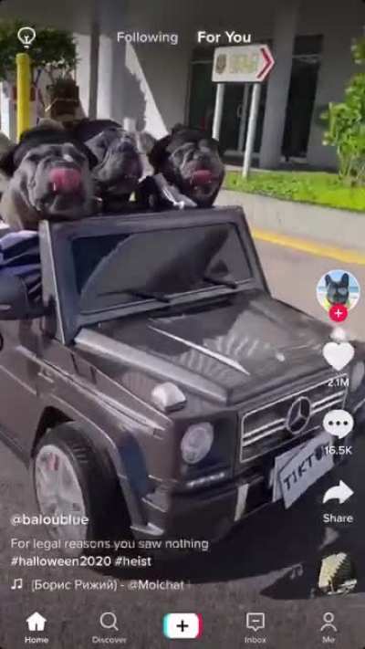 The ride is here