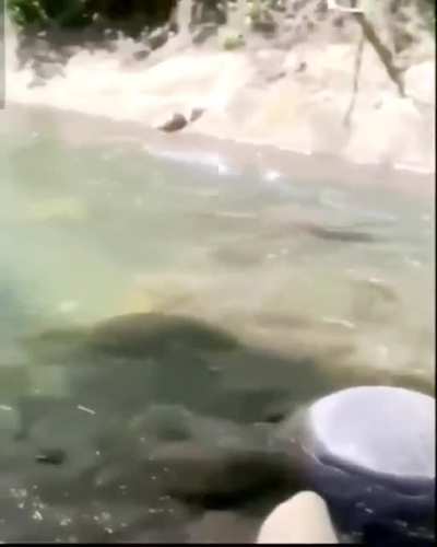 ??