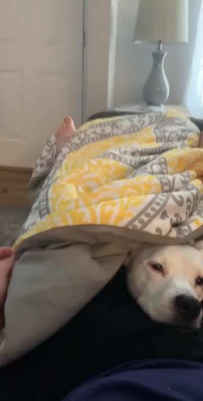 Her reaction to seeing my face after our nap