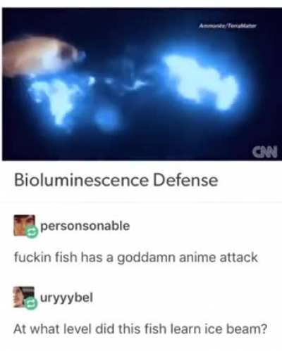 ? Fish with a Street Fighter attack