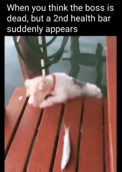 Oh fu*k