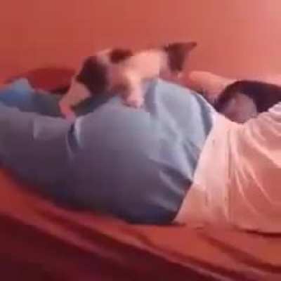 That looks tasty