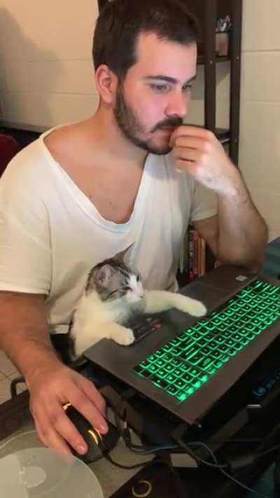 Found your bug hooman!