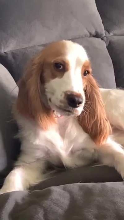 ???
