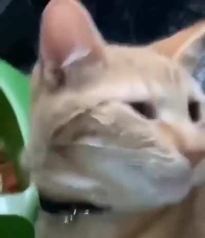 Was bro sleeping? ?