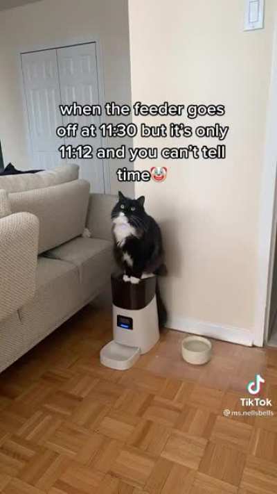 Straight disappointment ?