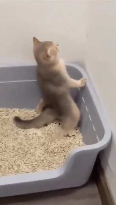 Peeing like a real man