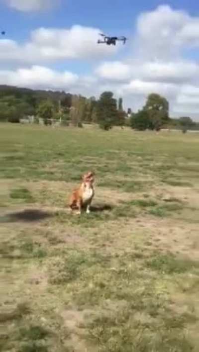 Incoming