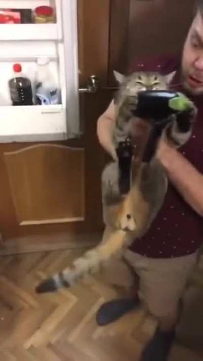 Did you just open the refri.......