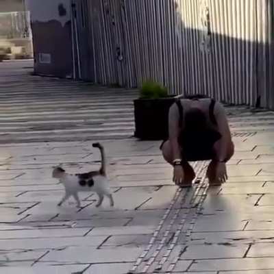 Maybe Maybe Maybe