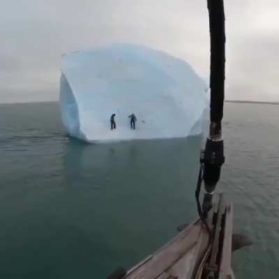 What are they doing.?