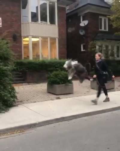 Oh Boy, We're Walking!