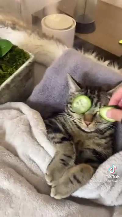 Spa day