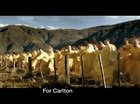 One of the best ad of all time