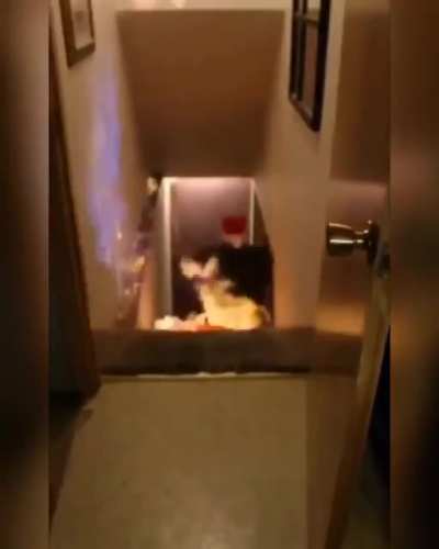 Homemade fire toboggan down the stairs
