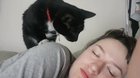 Every morning my wife and I get booped awake