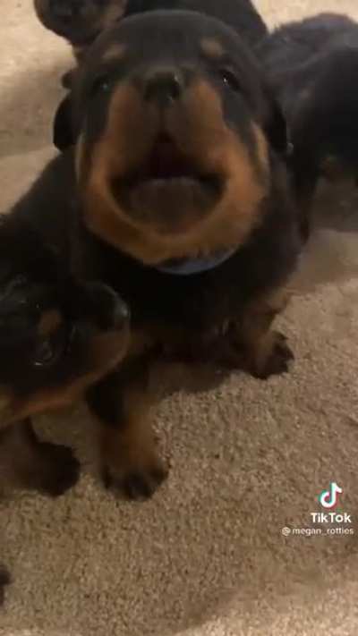 Little man got a lot to say!