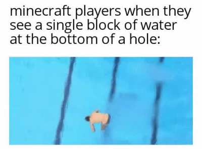 10/10 for the dive