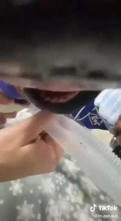 I can Sss Swallow it all