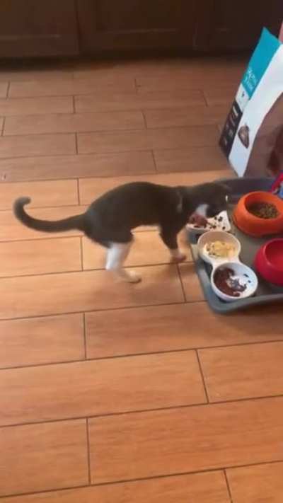 What’s in that breakfast?