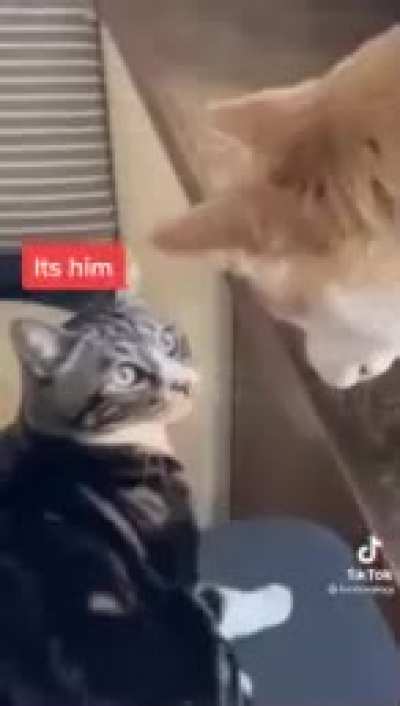 Hey, it's him!
