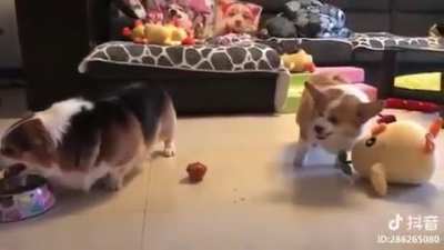 Oh lawd, they angry