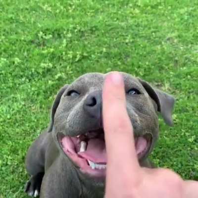 Two boops unlocks a beautiful smile