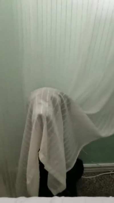 Getting ready for Halloween.