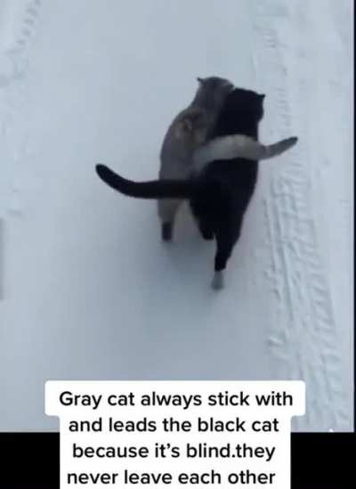 This is so wholesome?