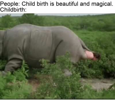 Childbirth in a nutshell