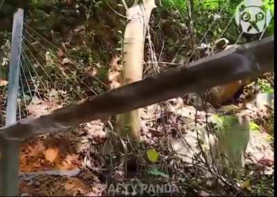 Building a model cable bridge