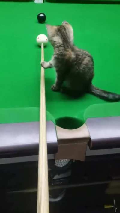 He's helping..??