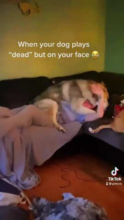 Goofy floofer ???
