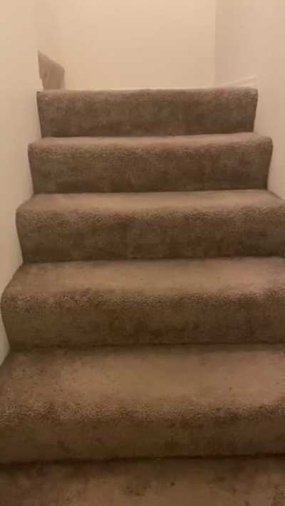 Kitty’s first attempt at the stairs